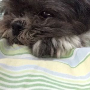 Meet your Posher, Jason